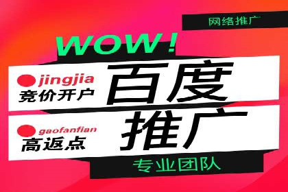 百度竞价推广公司经典案例回顾：网络广告的变革与创新