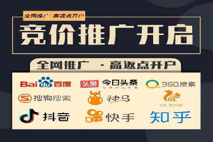 百度SEO推广策略：如何快速提升网站排名？——案例详解